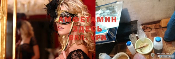 крисы Бронницы