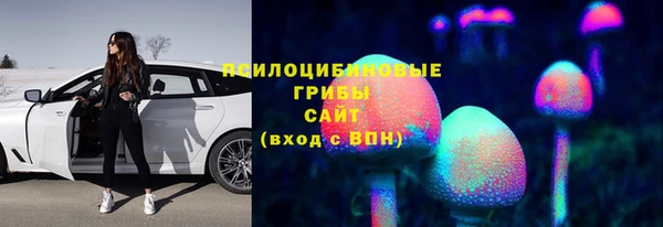 ешки Бугульма