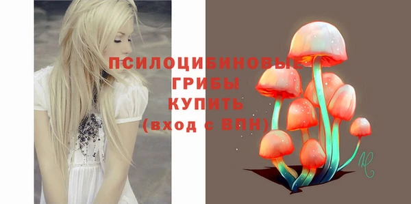 крисы Бронницы
