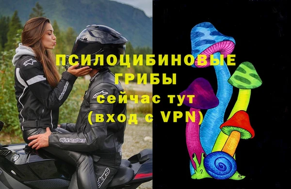 героин Бородино