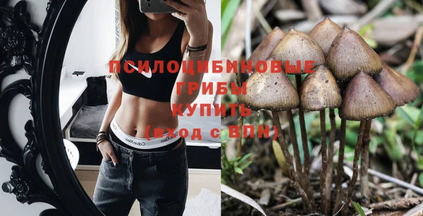крисы Бронницы