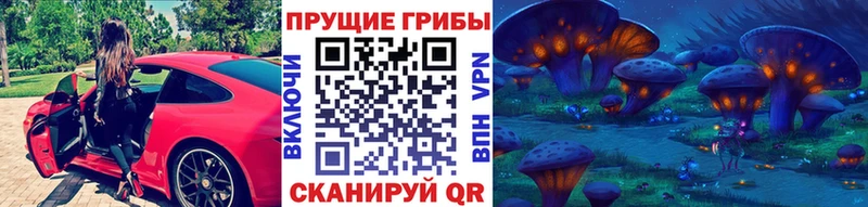 Купить где  Вятские Поляны  Галлюциногенные грибы Magic Shrooms 